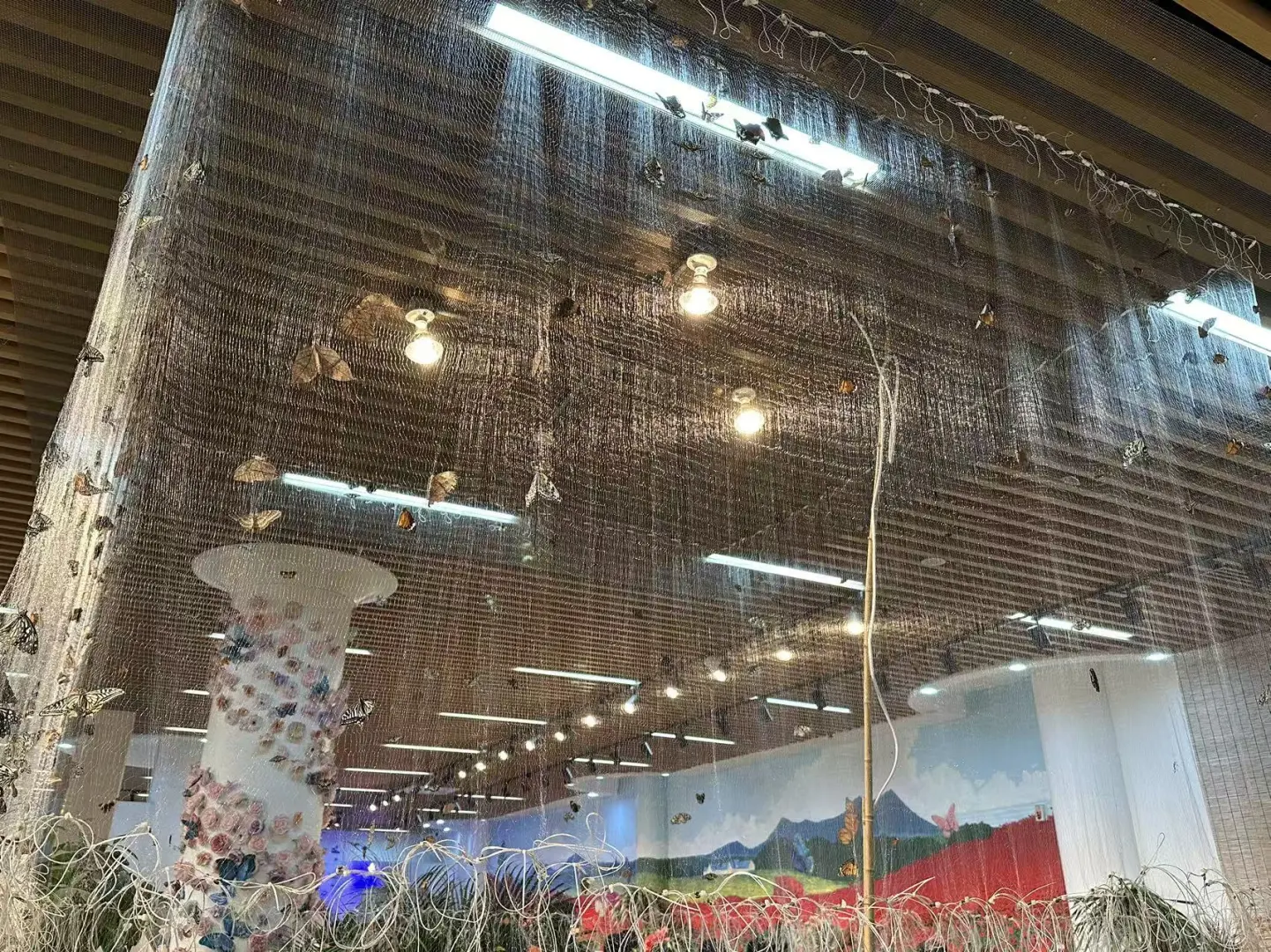 太原植物园！！超全游玩攻略！！一定要看！