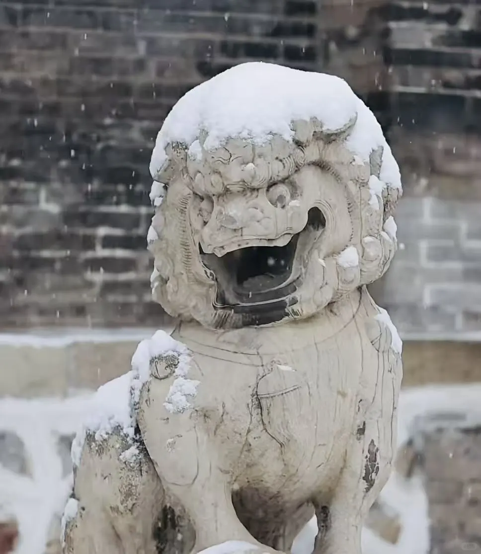 太原初雪❄️2025赏雪攻略请收好