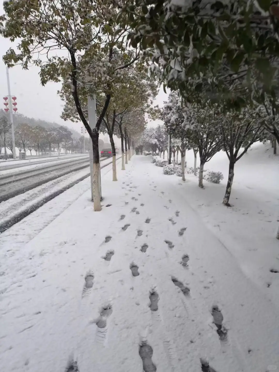 你的城市下雪了么