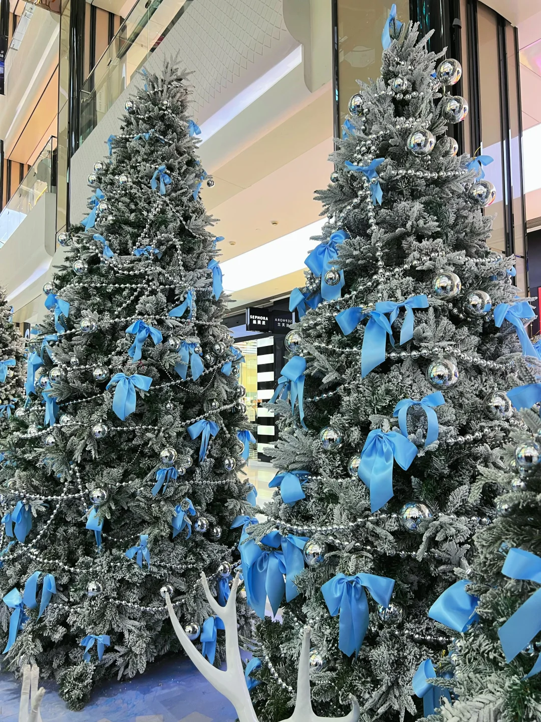 为了这颗圣诞树…我还想来一万次太原🩵❄️