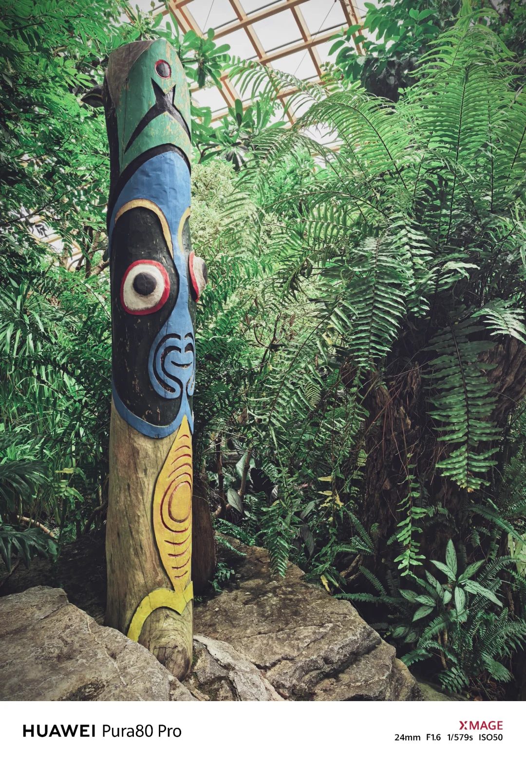 太原植物园—在华北最大温室群畅享森系治愈