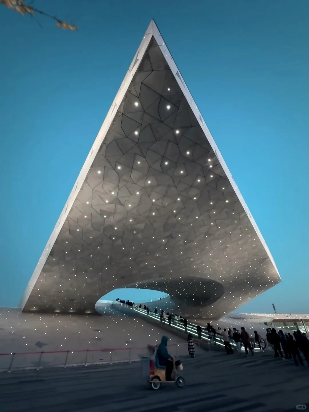 🎉太原植物园🌵🌴｜绝美出片攻略来啦✨