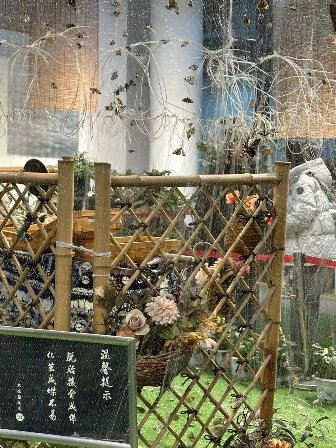 太原植物园！！超全游玩攻略！！一定要看！