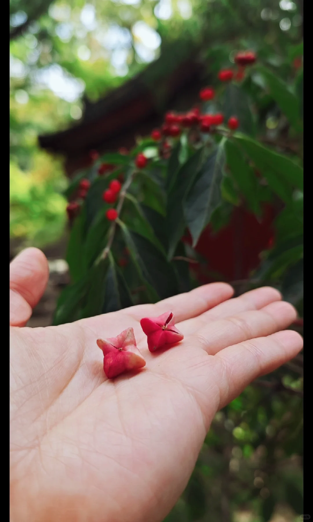 被山西硬控了…