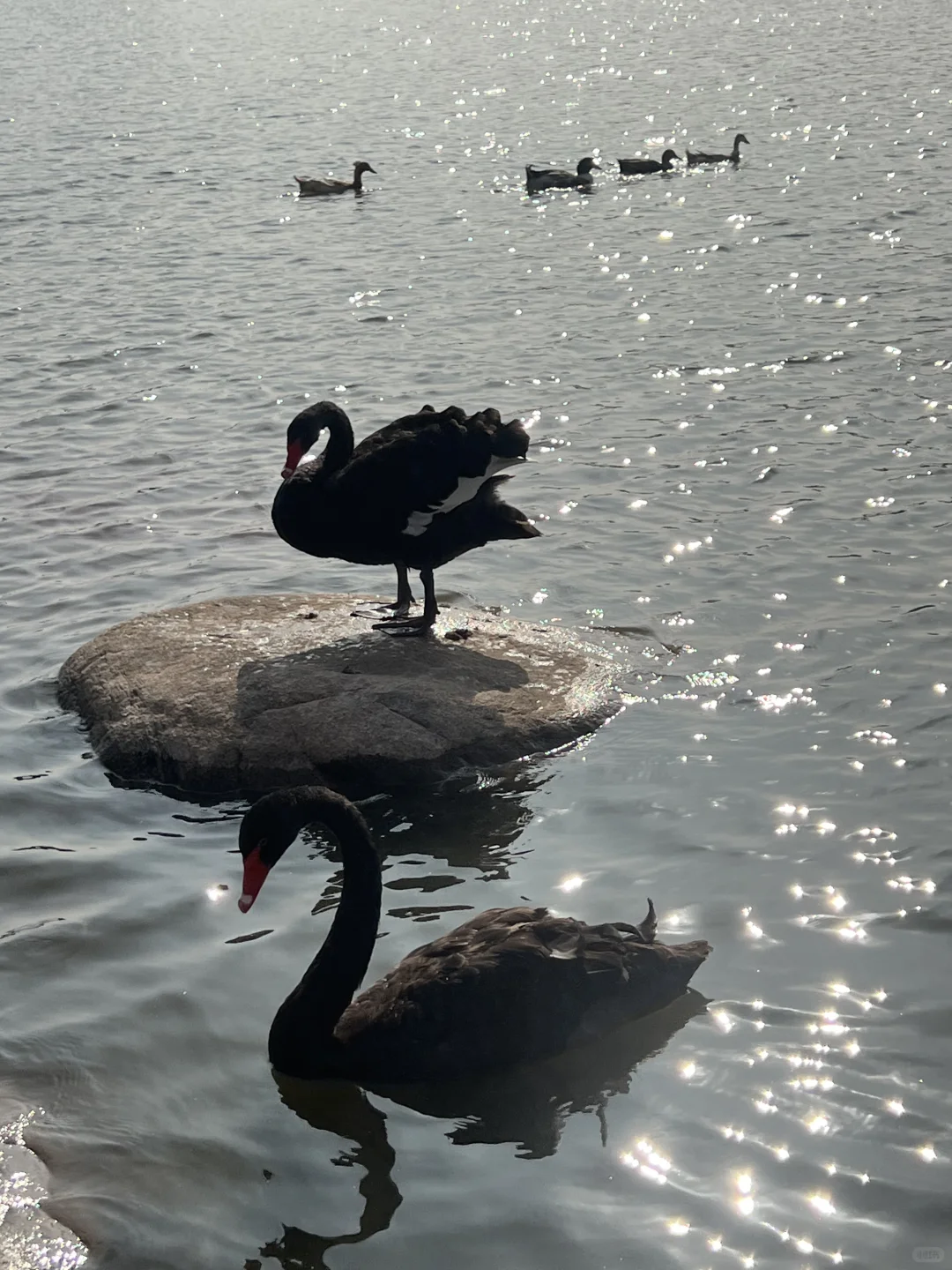 太原植物园也太大了！