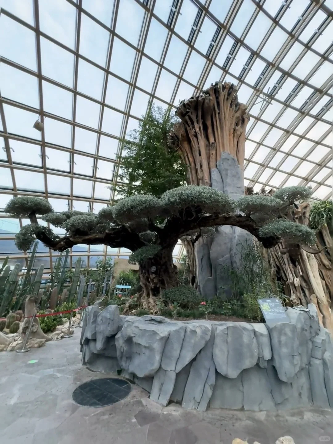 🎉太原植物园🌵🌴｜绝美出片攻略来啦✨