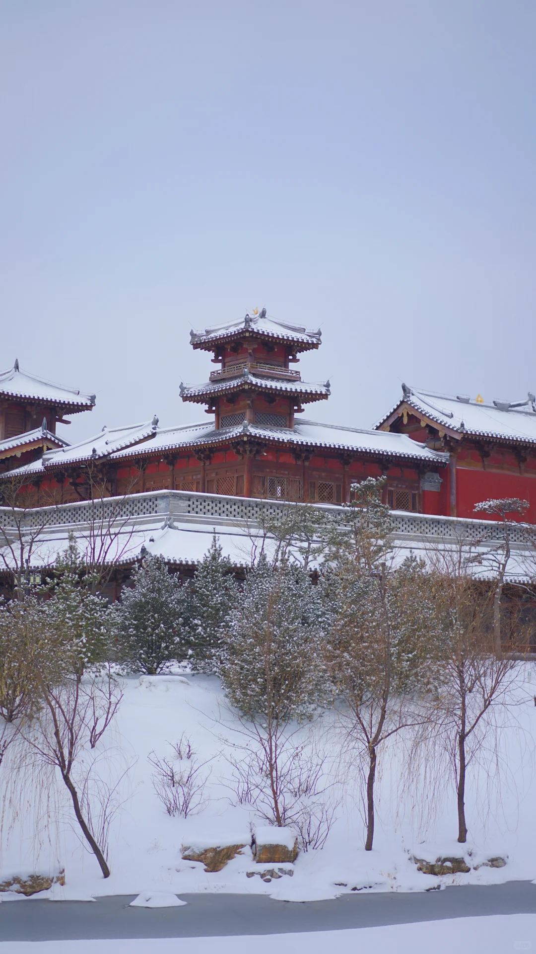 太原|周五下雪去哪拍