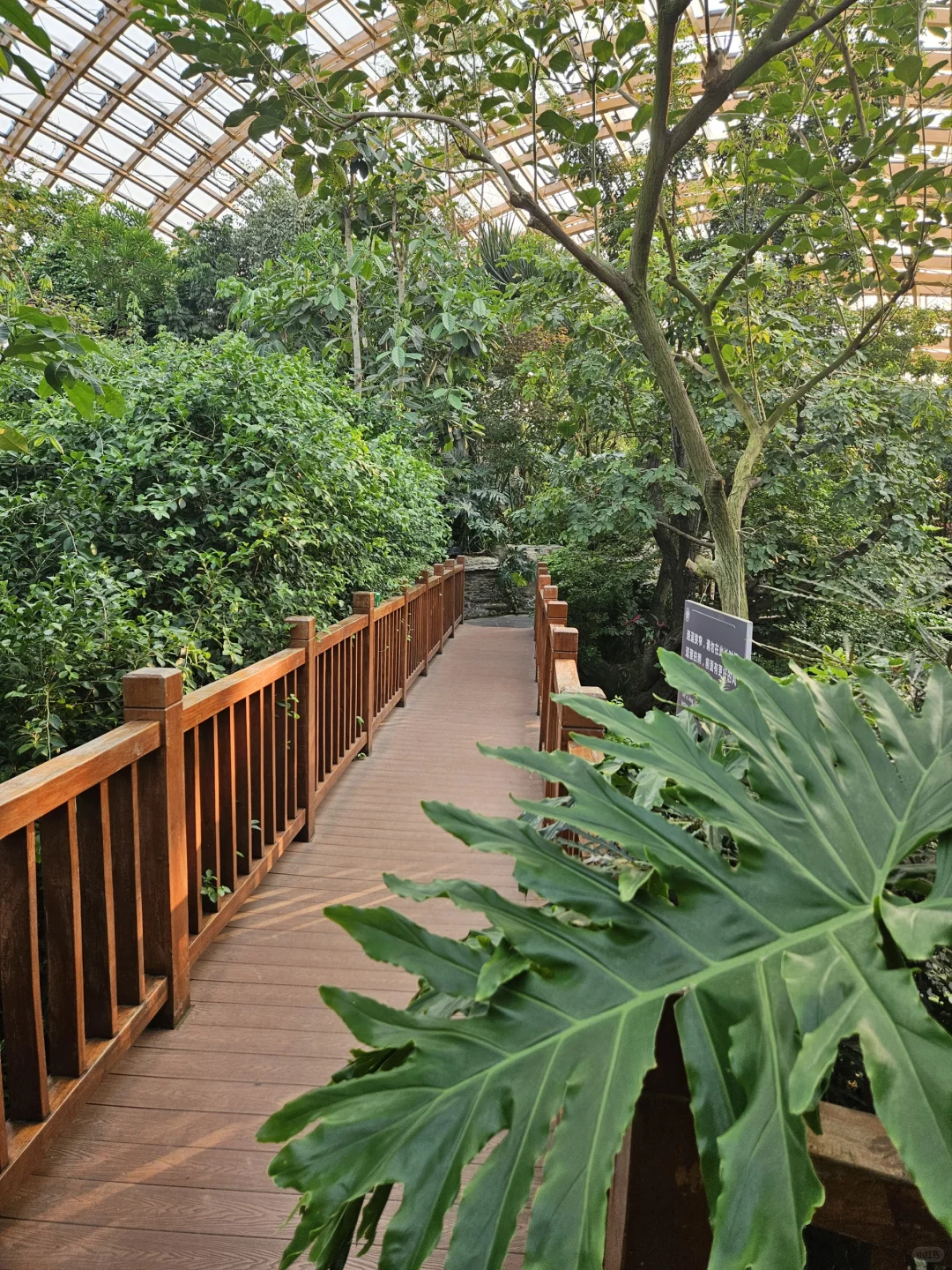 太原植物园网红电梯值得吗？实测