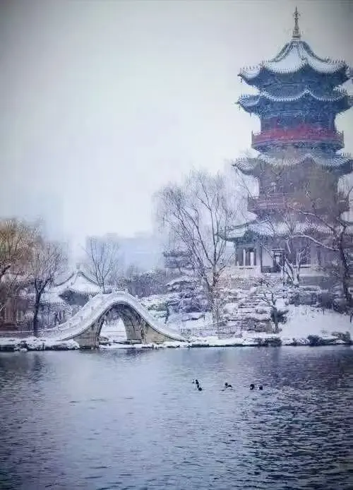 太原初雪❄️2025赏雪攻略请收好