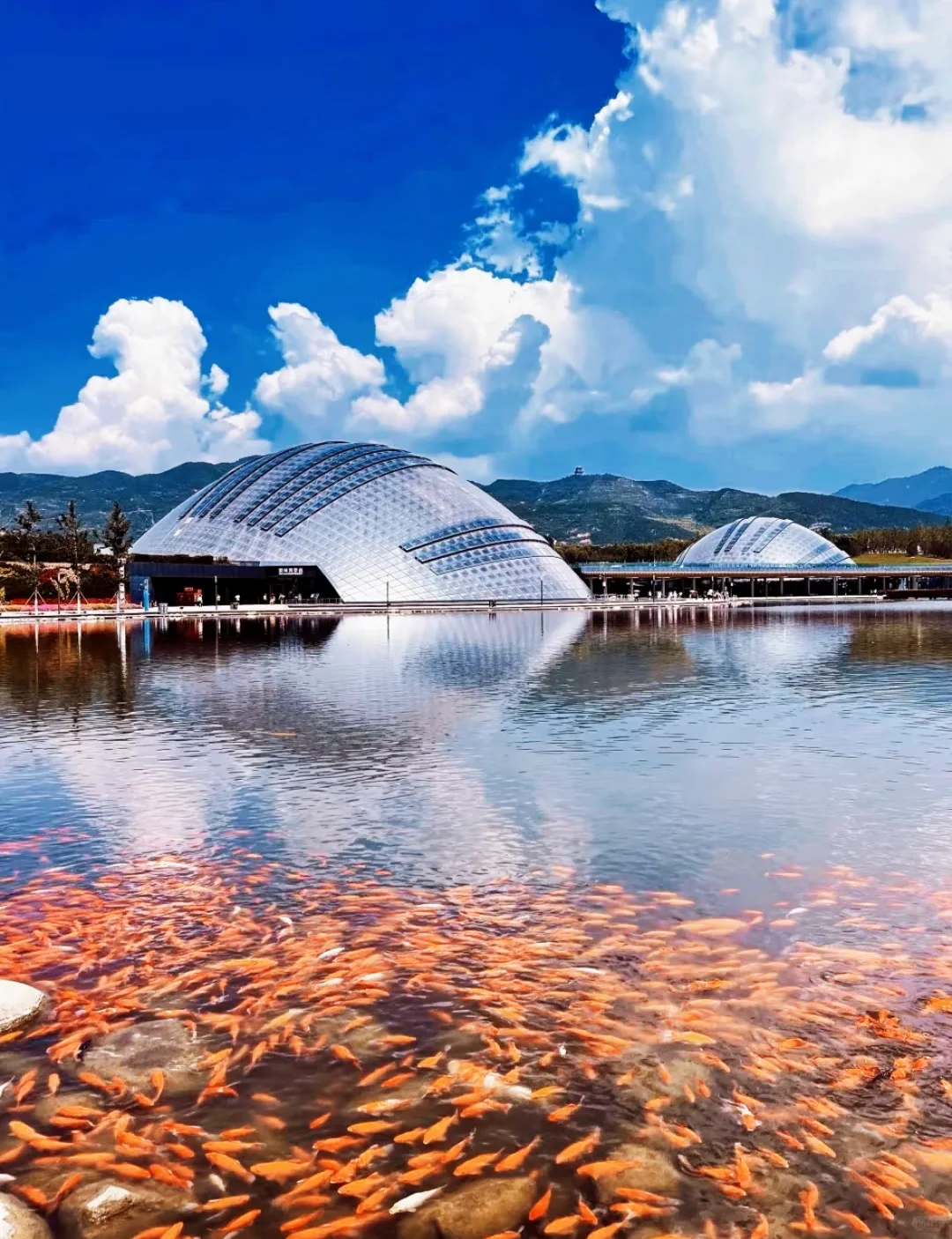 太原植物园 | 星空电梯 | 真的太美了！