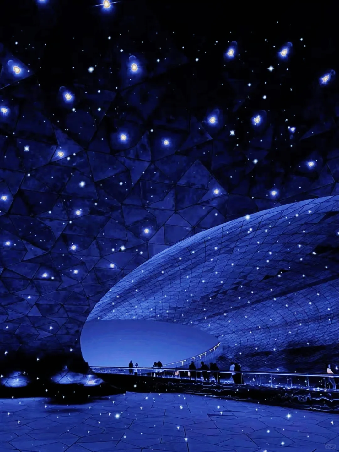 太原植物园 | 星空电梯 | 真的太美了！