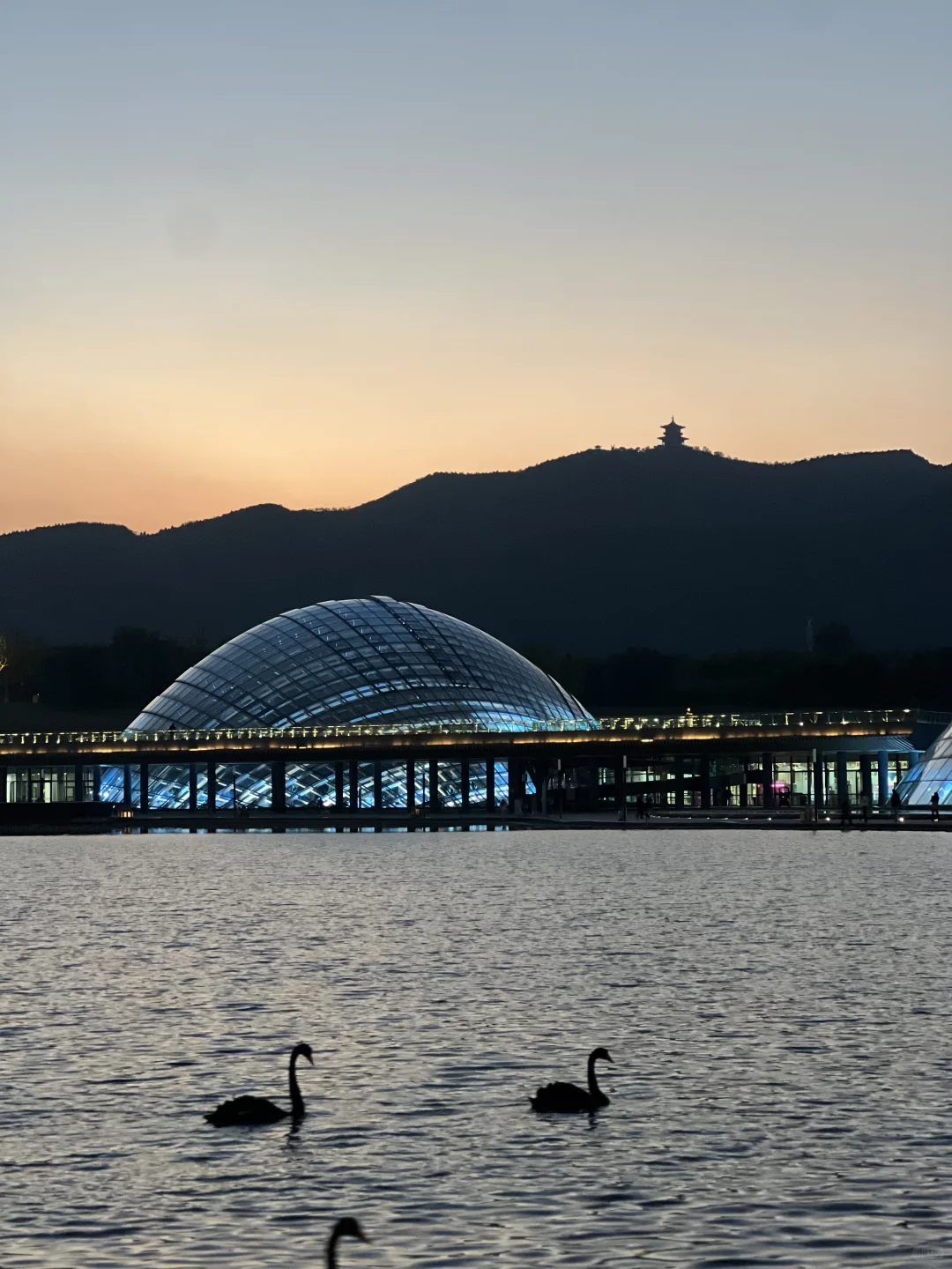 太原植物园也太大了！