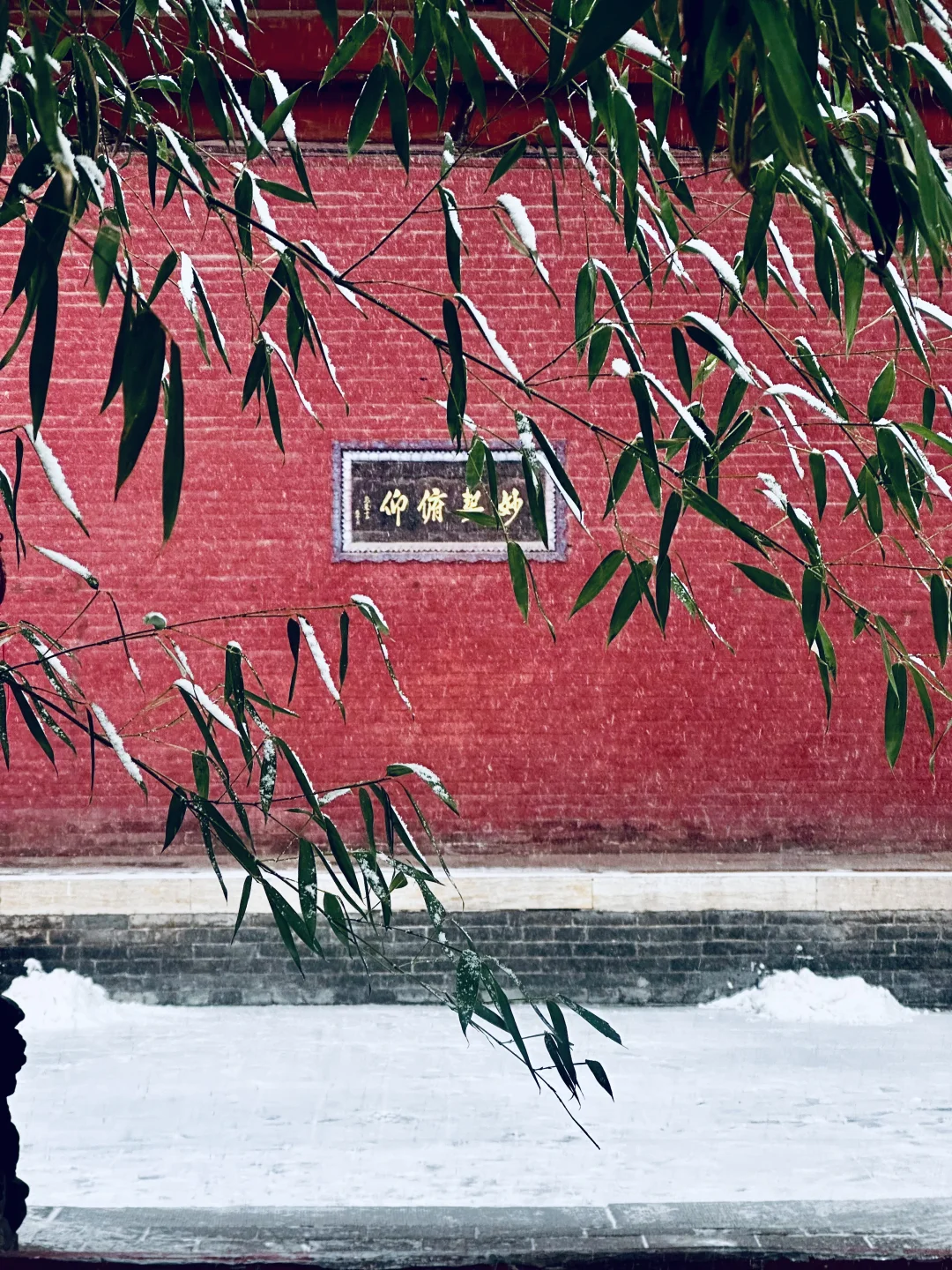 ❄️12.12太原初雪！文庙！这一刻美成了诗…