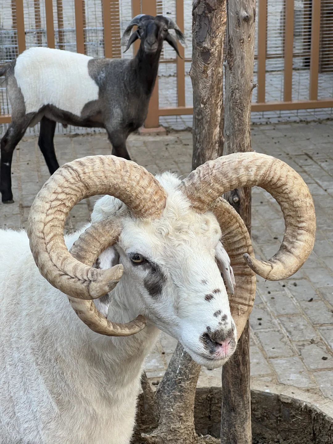 太原植物园也太大了！