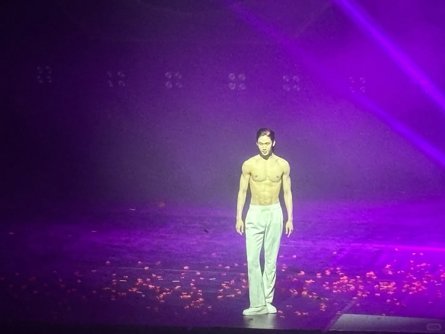 发一堆碎片来期待新年，看到最后有福利哦！