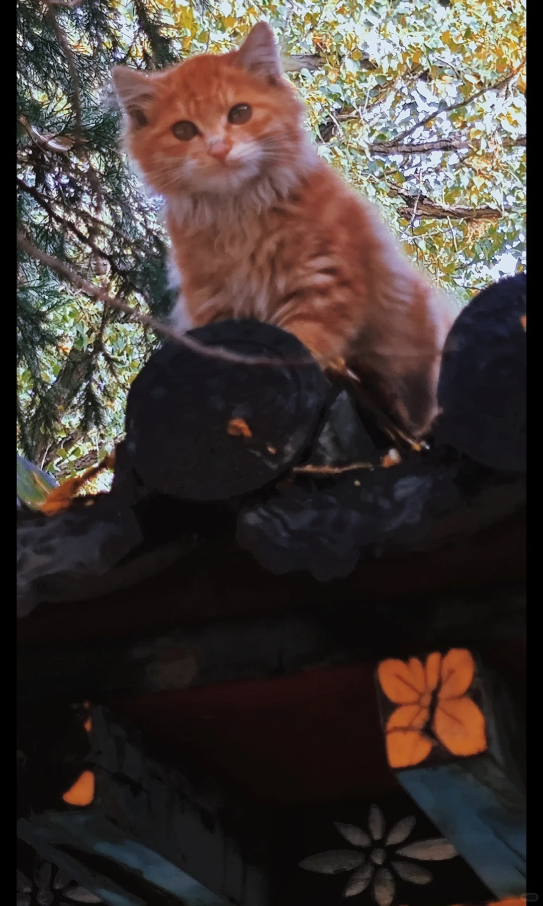 被山西硬控了…