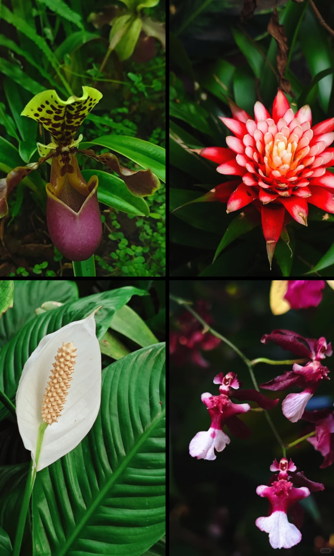 被山西硬控了…