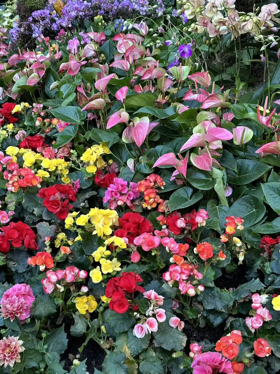 太原植物园！！超全游玩攻略！！一定要看！