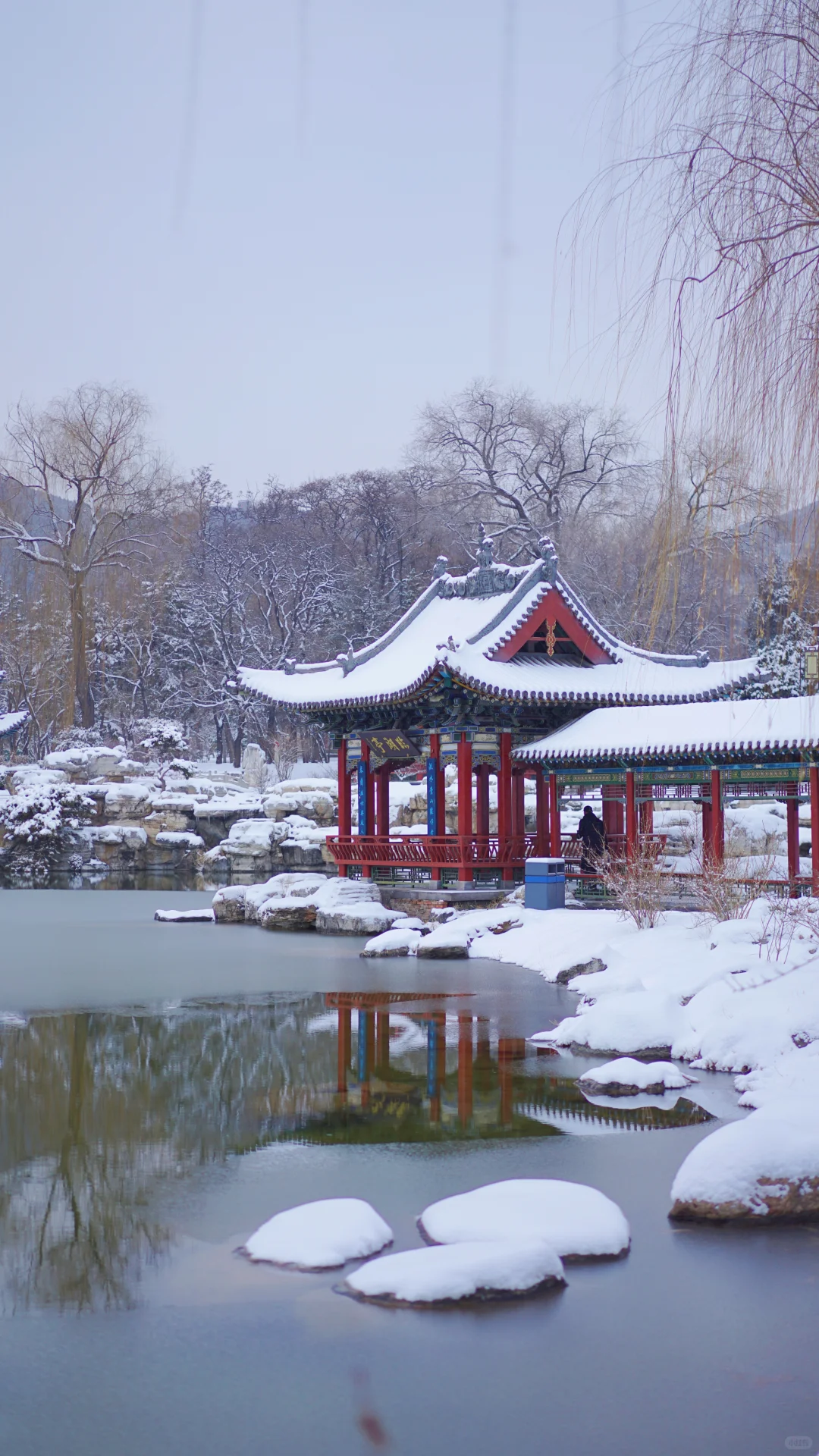 太原|周五下雪去哪拍