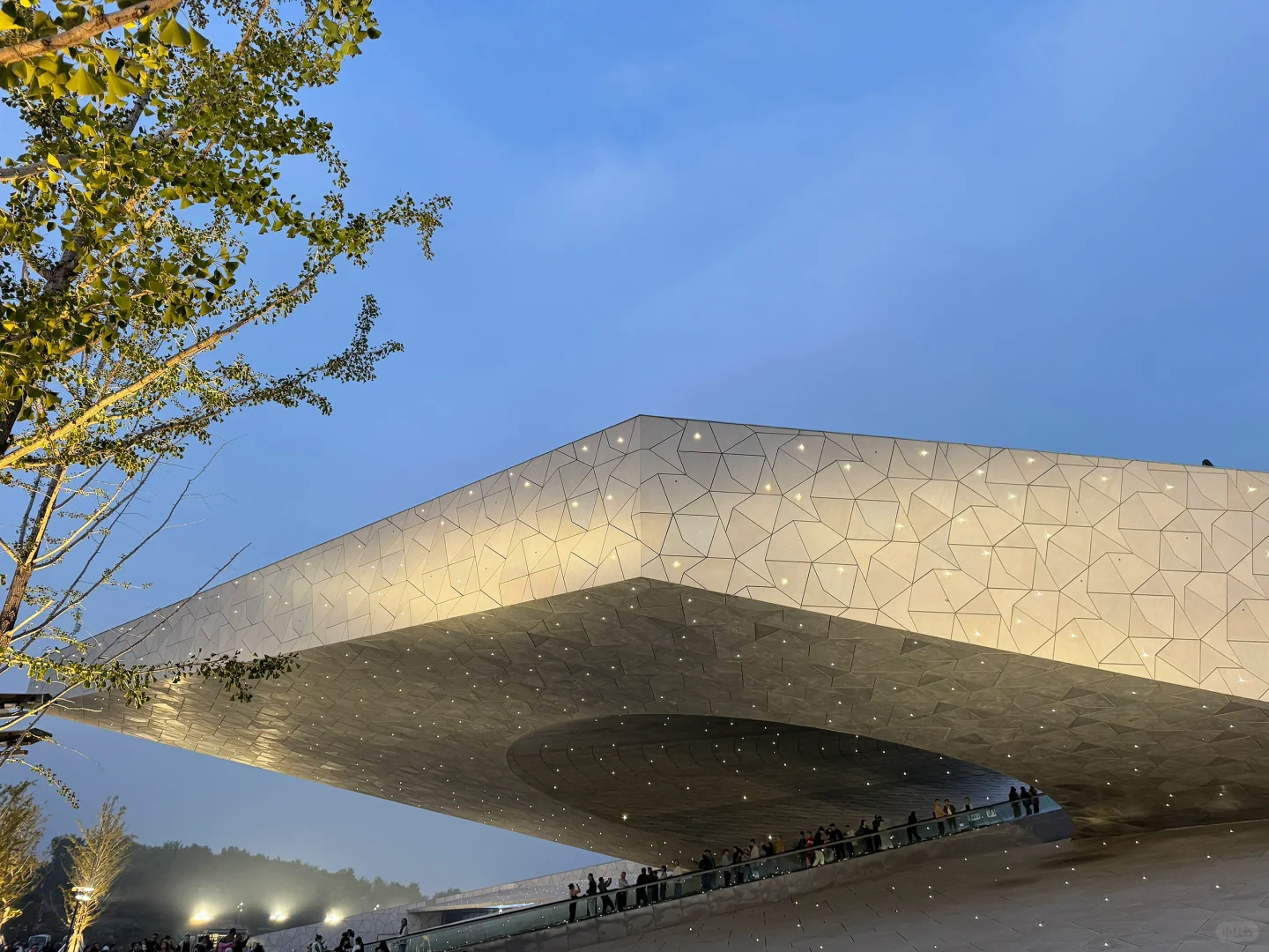 太原植物园，星空扶梯才是这里的主角