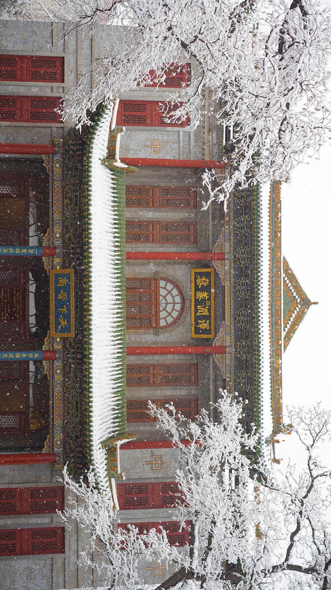 太原|周五下雪去哪拍