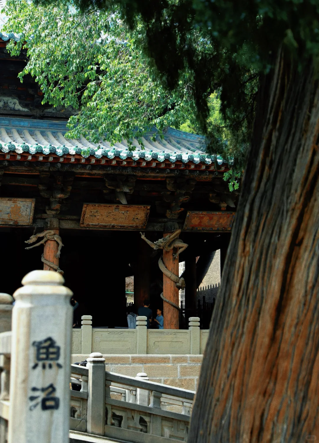 再见👋🏻太原，再见👋🏻山西，我很会在来的