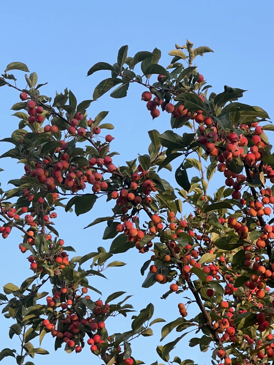 太原植物园也太大了！