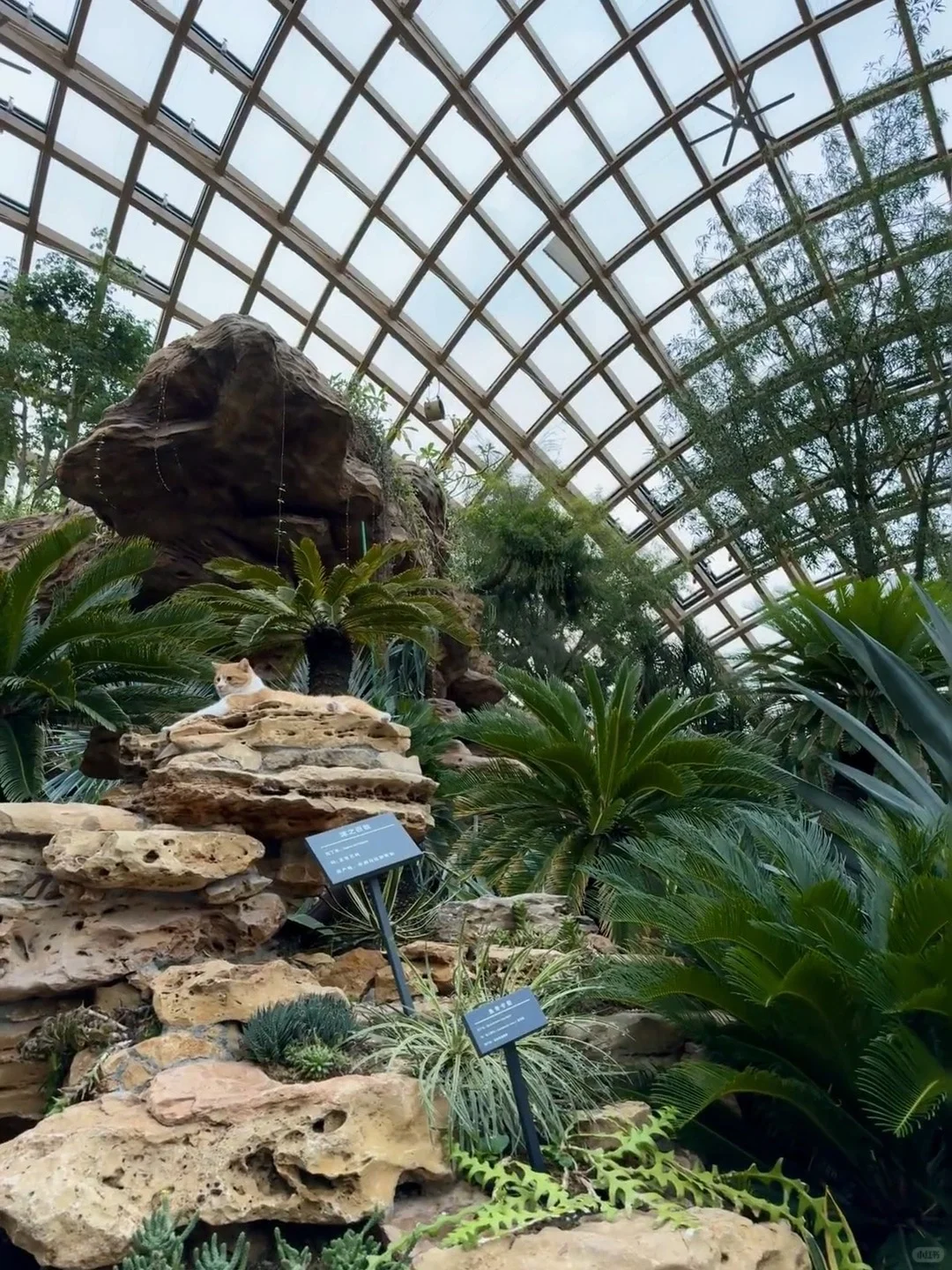 🎉太原植物园🌵🌴｜绝美出片攻略来啦✨