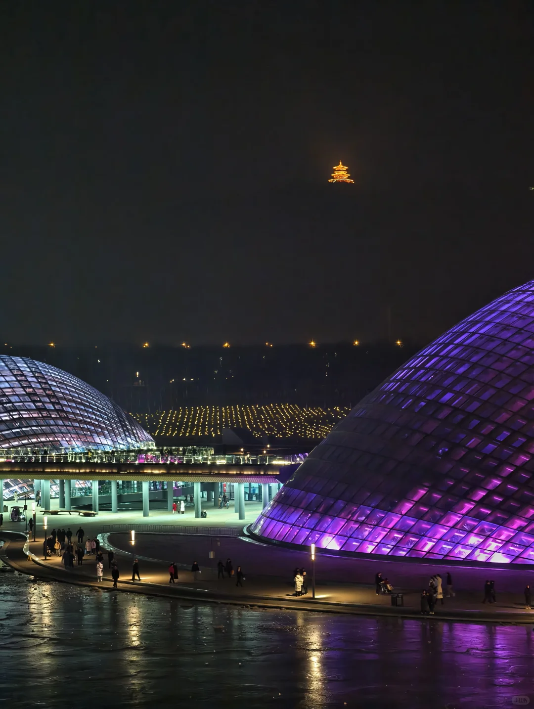 讲真！一部星空电梯拯救了太原植物园