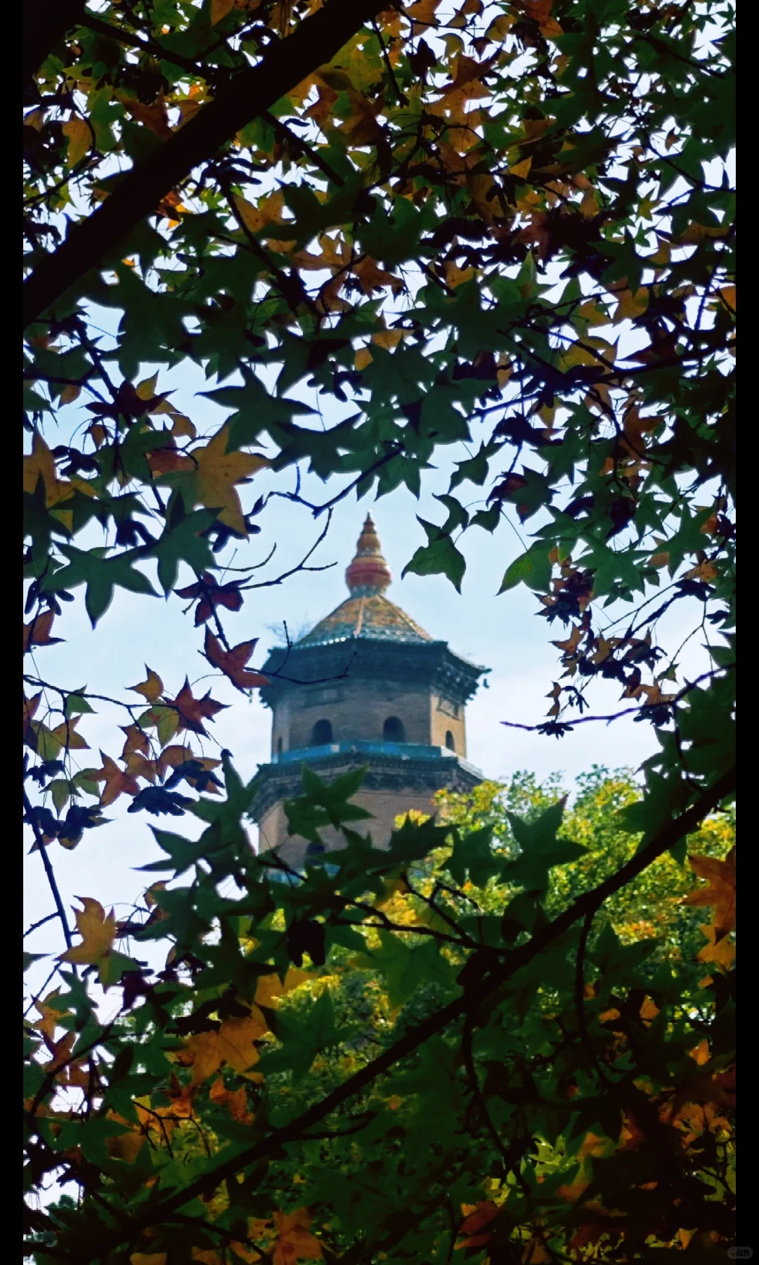 被山西硬控了…