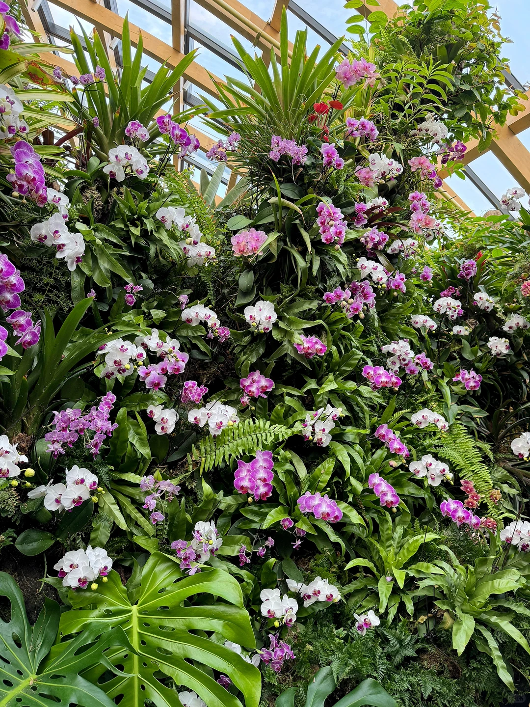 太原植物园，星空扶梯才是这里的主角