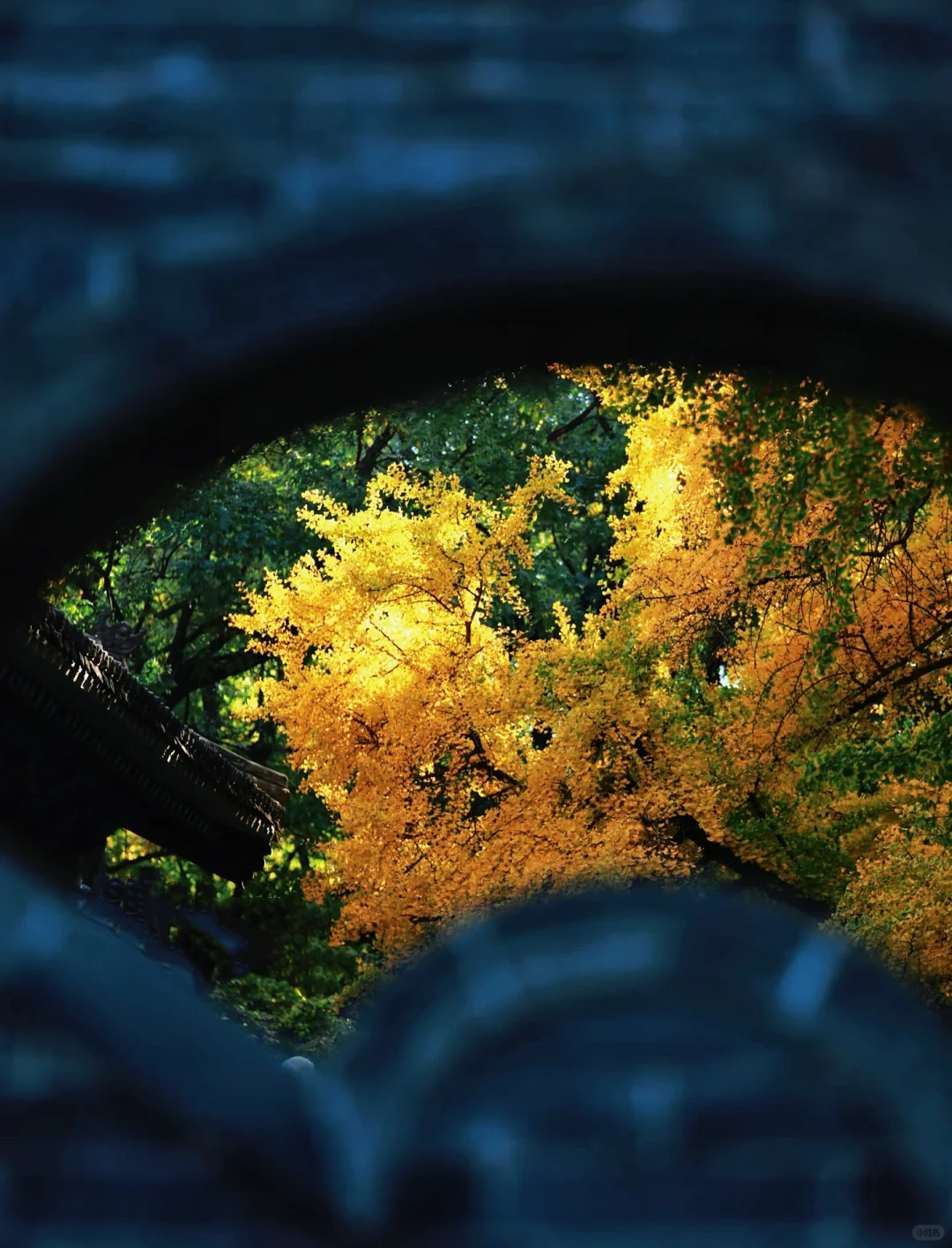 再见👋🏻太原，再见👋🏻山西，我很会在来的