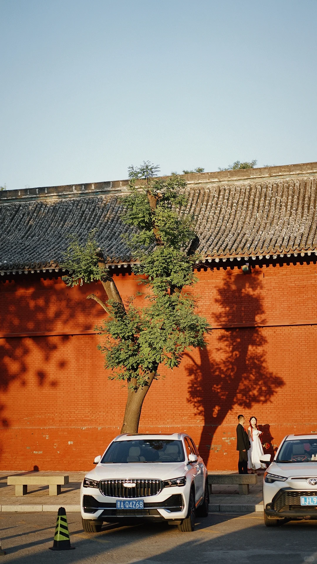 太原|周五下雪去哪拍