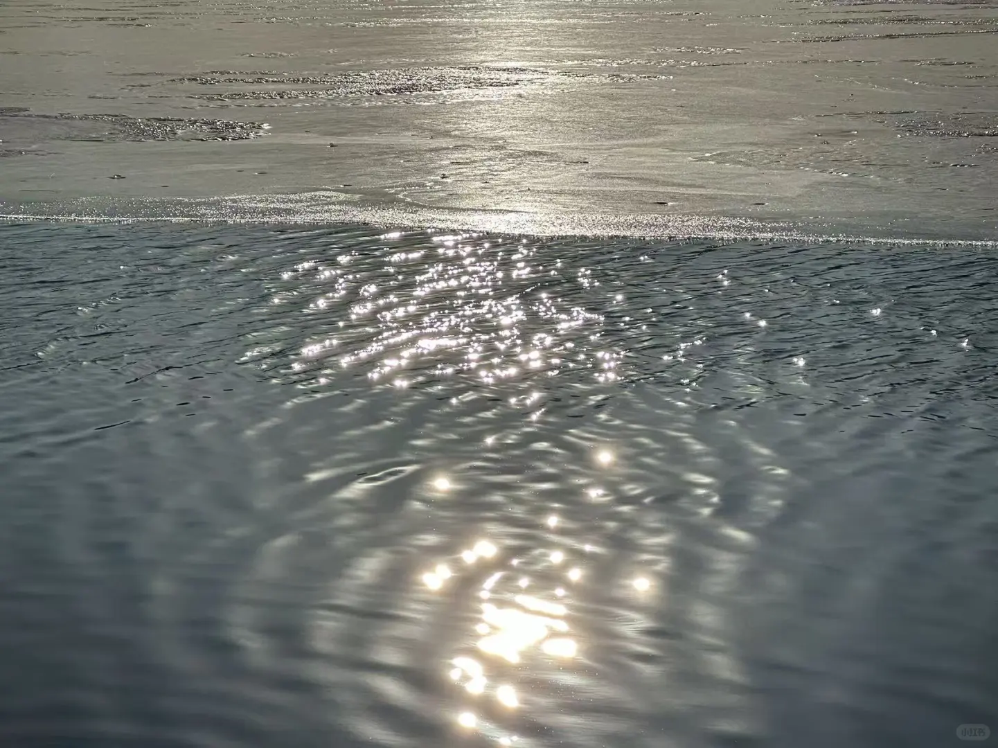 太原植物园！！超全游玩攻略！！一定要看！