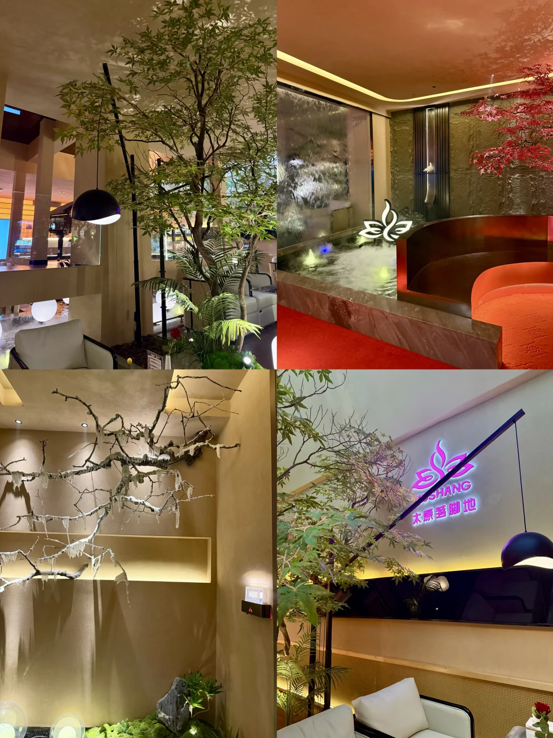 太原|成年人取悦自己的方式之一🫧