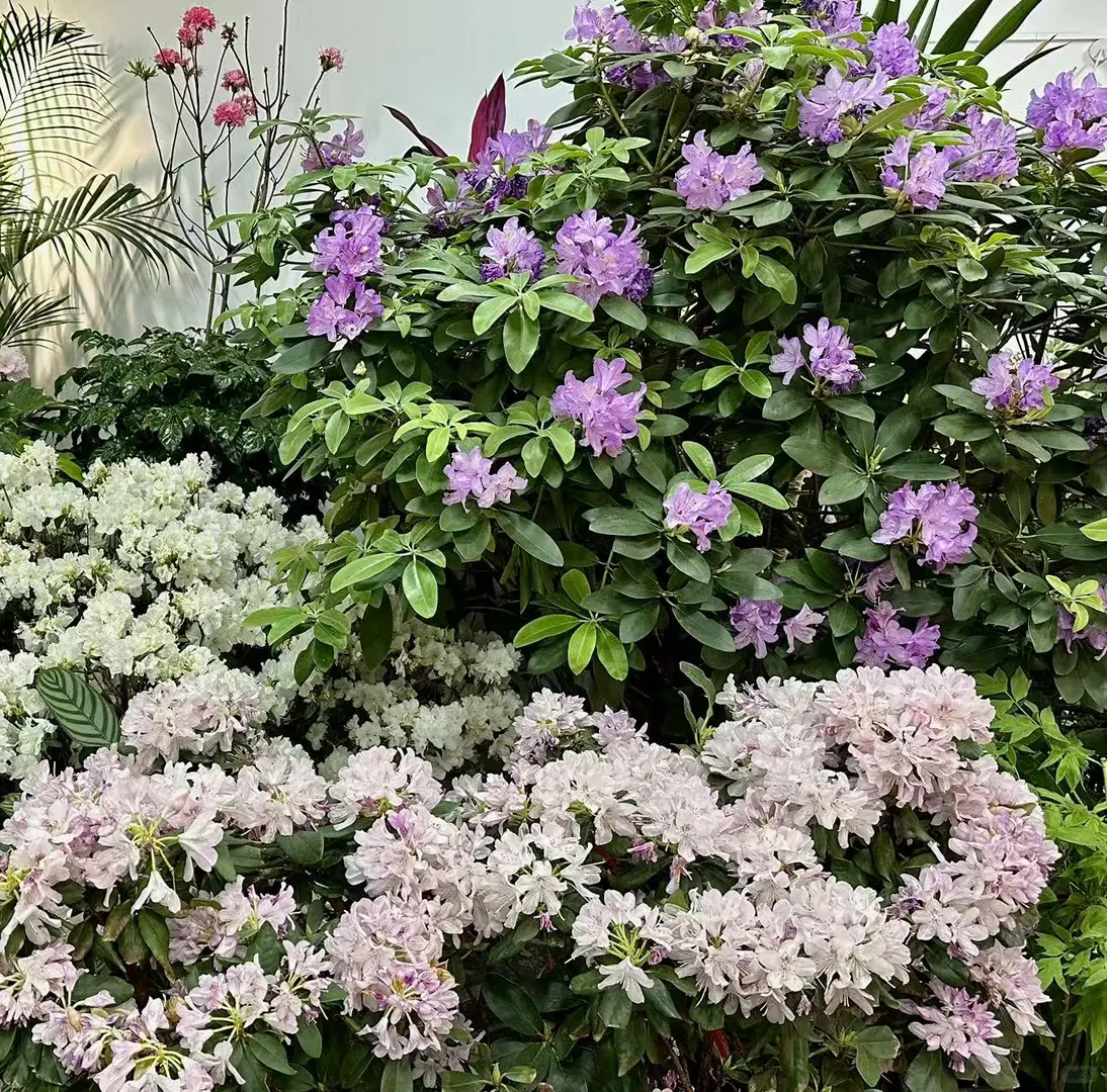 太原植物园！！超全游玩攻略！！一定要看！