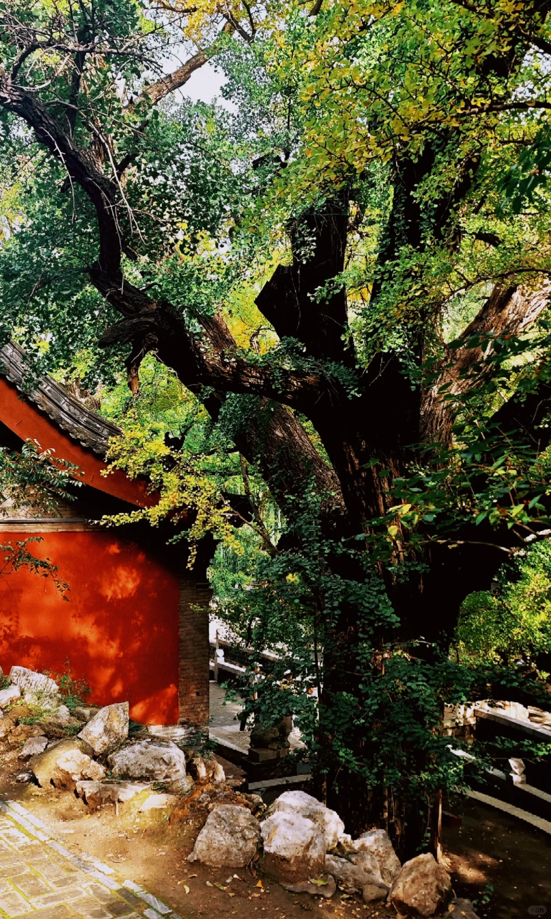 被山西硬控了…