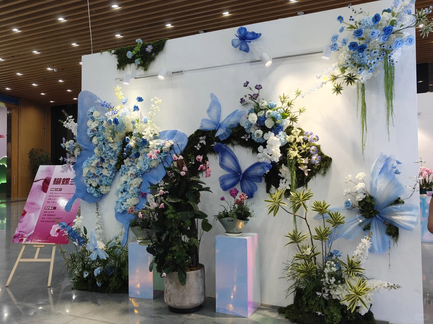 太原植物园❗️