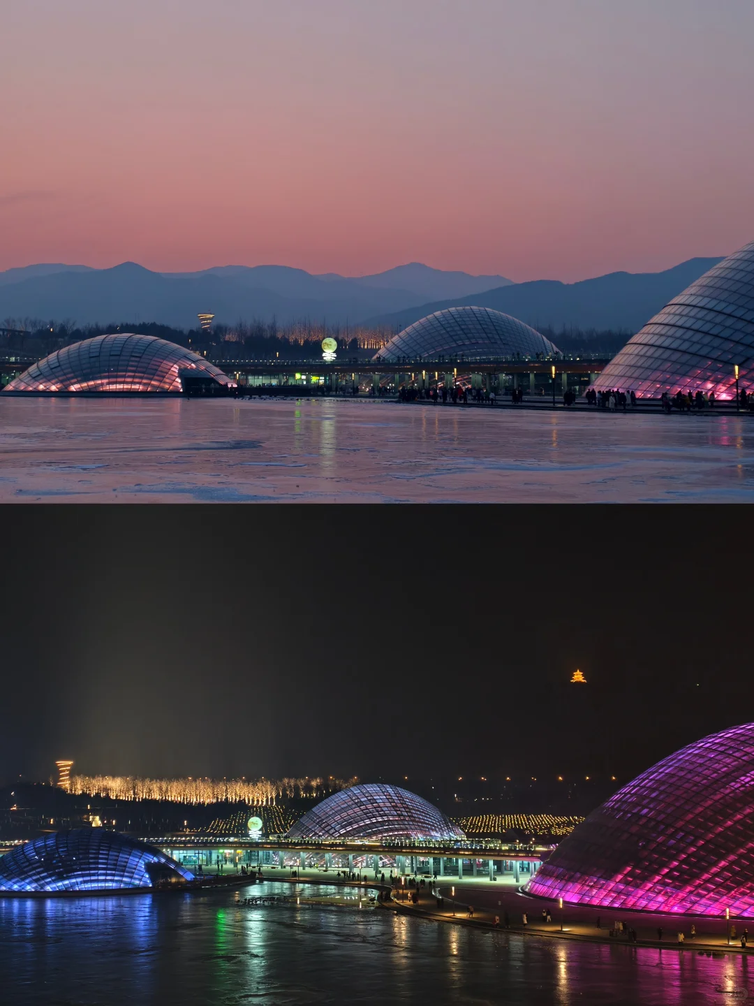 讲真！一部星空电梯拯救了太原植物园