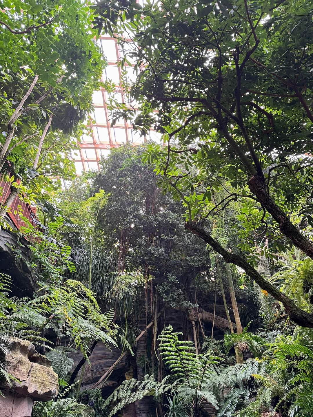 太原植物园，星空扶梯才是这里的主角