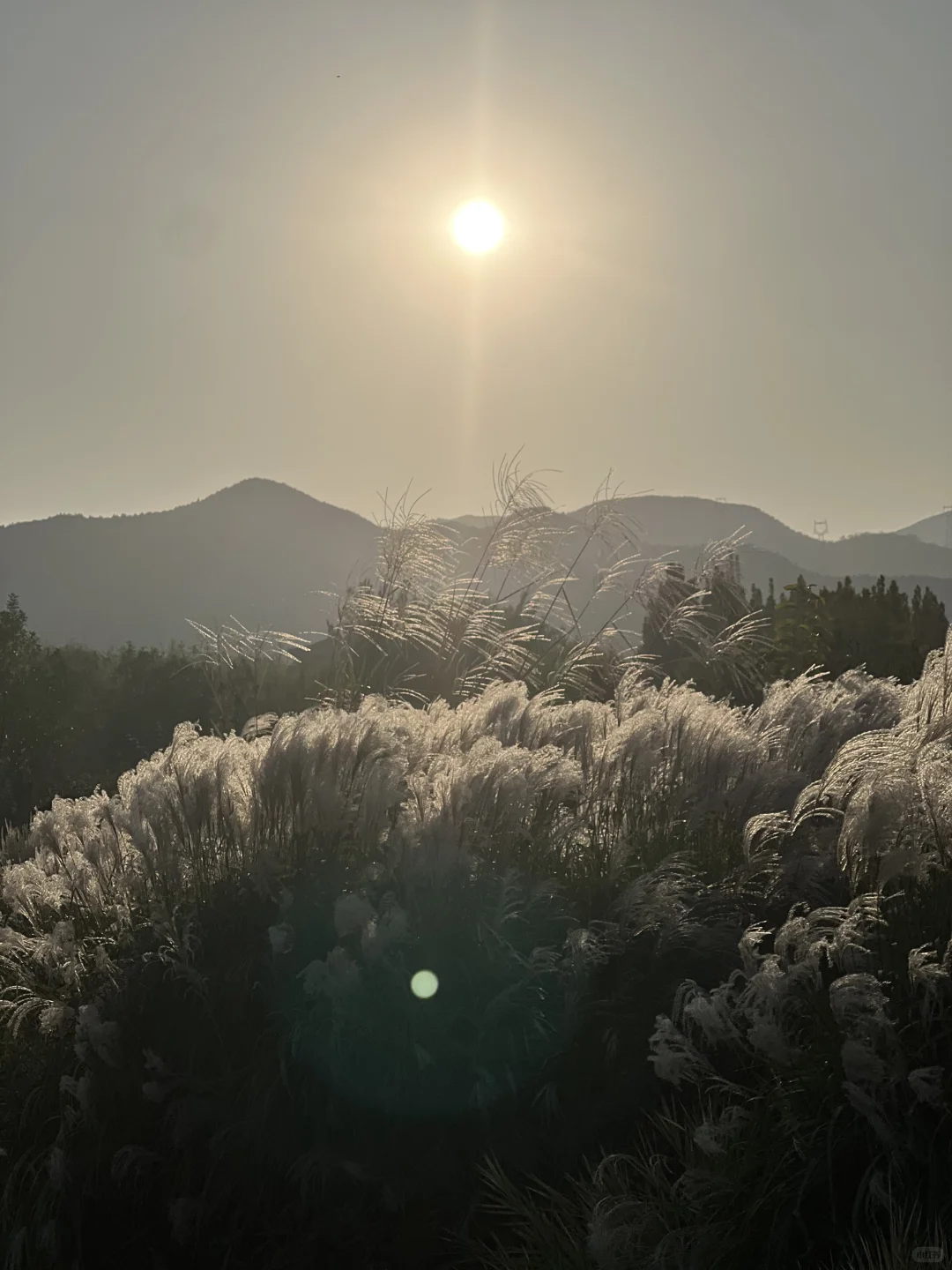 太原植物园也太大了！