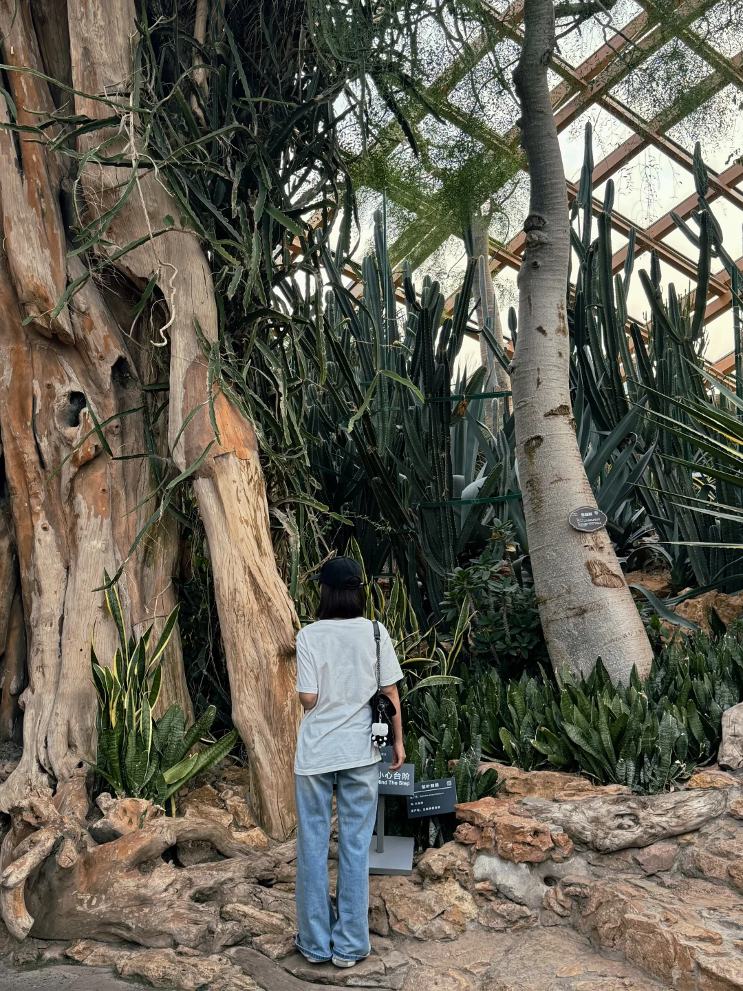 在太原 一定要去的地方📸