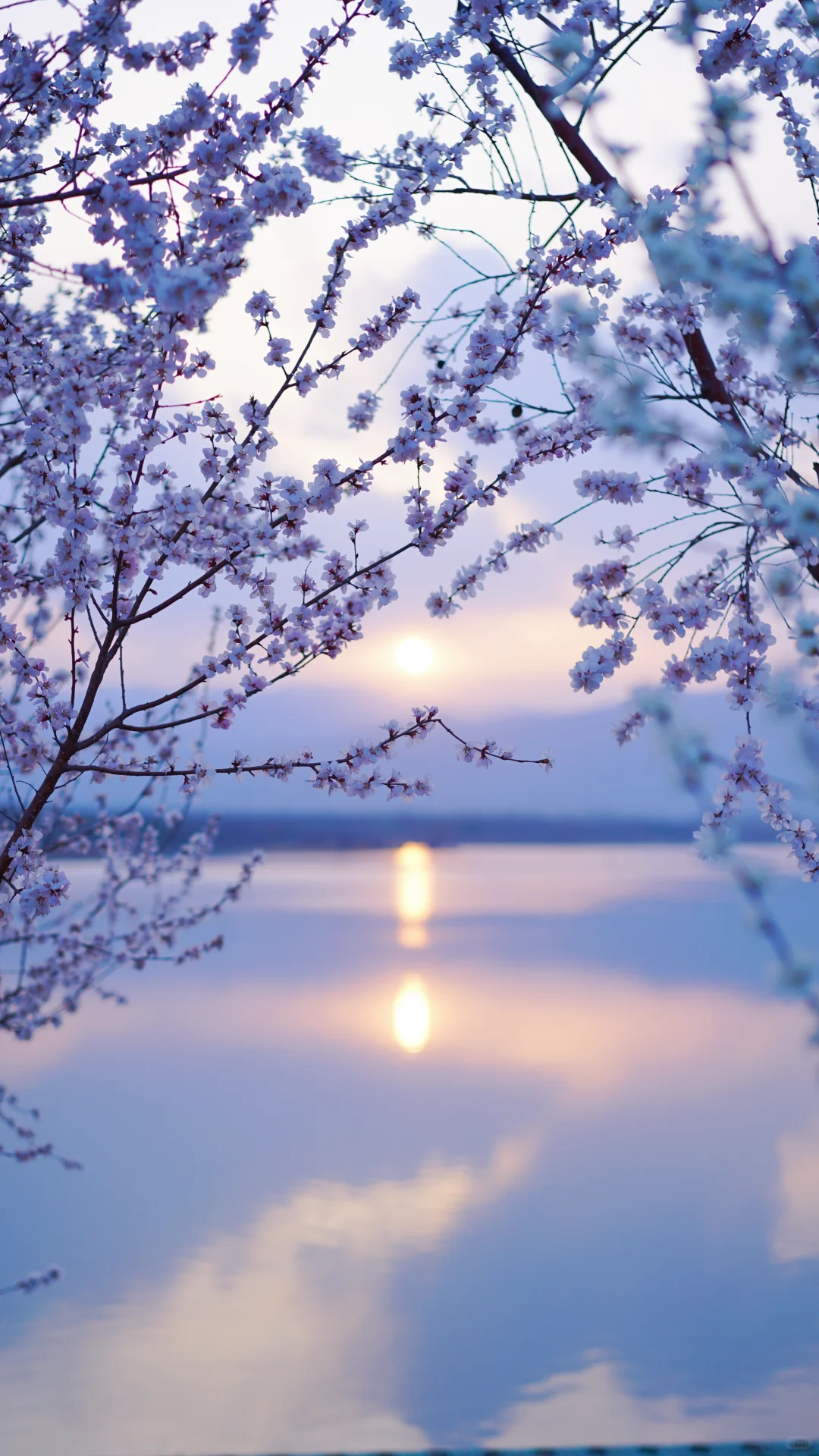 太原|周五下雪去哪拍