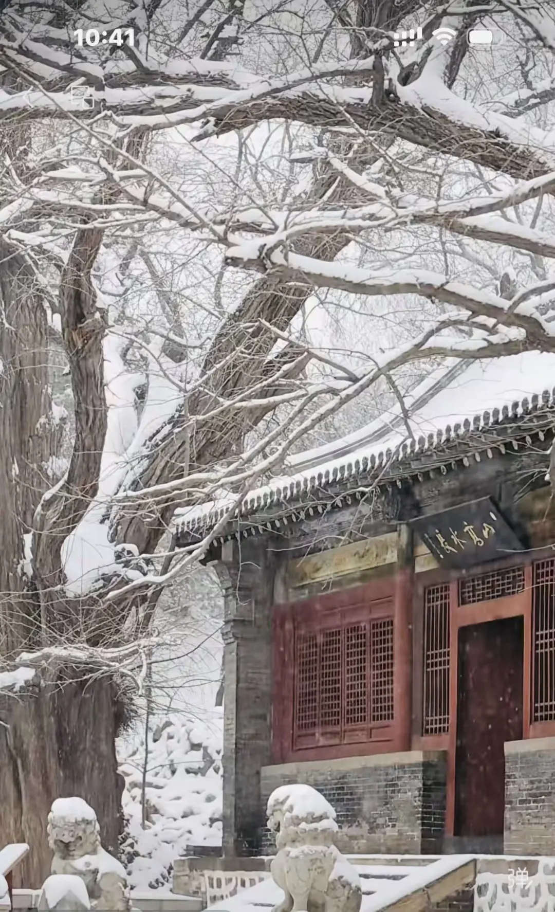 太原初雪❄️2025赏雪攻略请收好