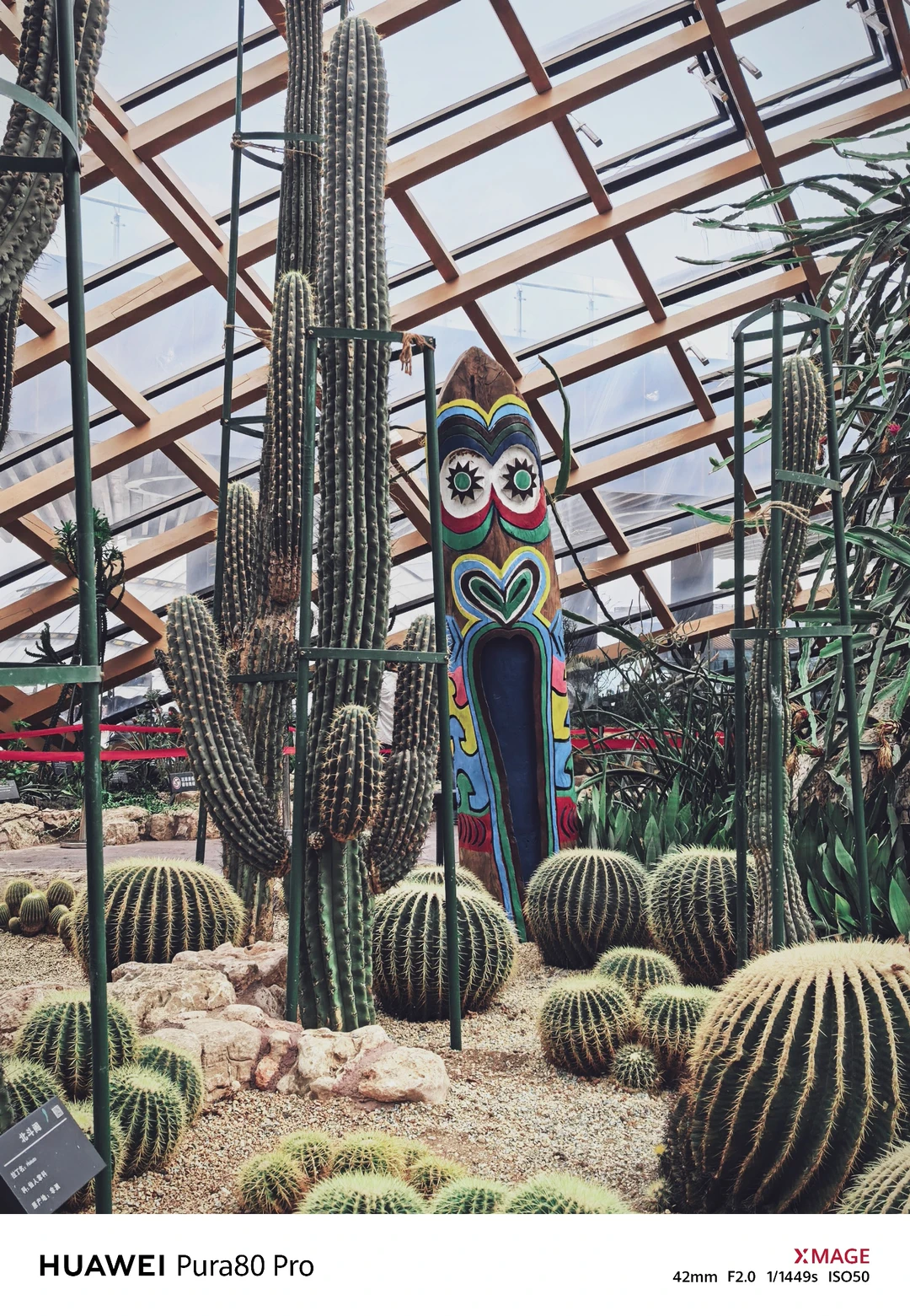 太原植物园—在华北最大温室群畅享森系治愈