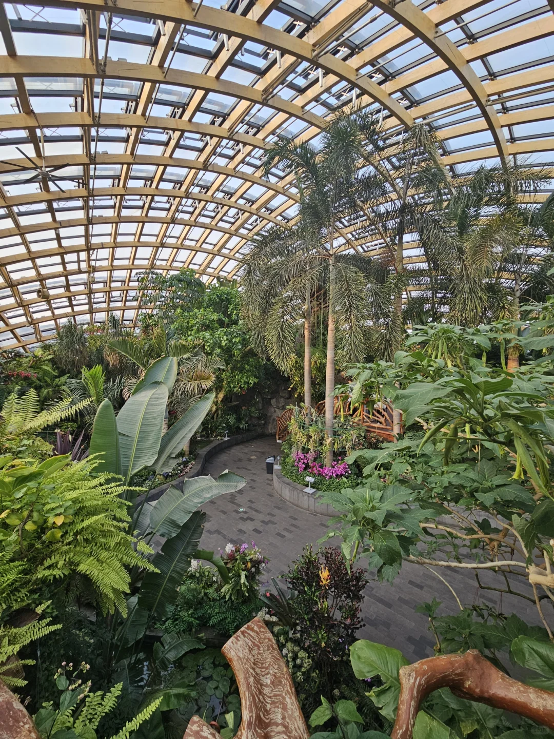 太原植物园网红电梯值得吗？实测