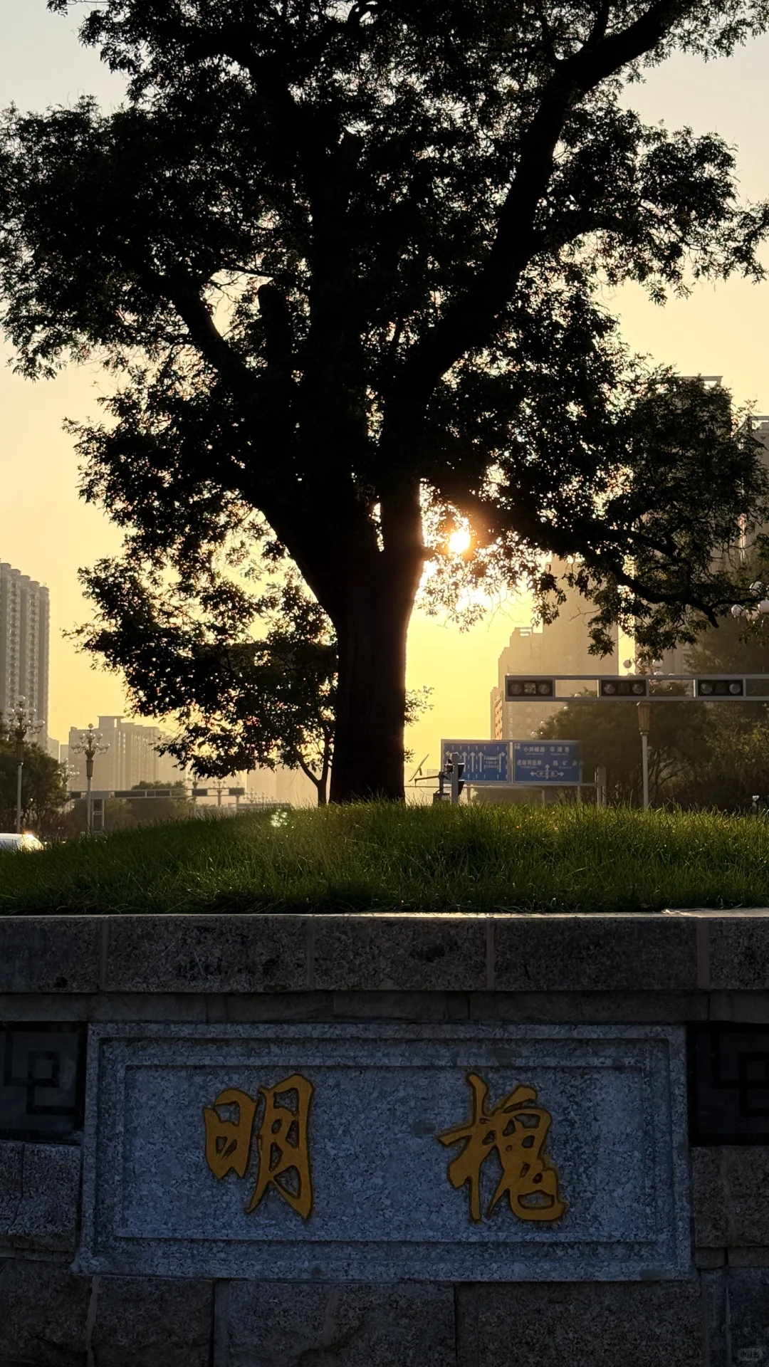 太原西区新路即将通车！城市升级进度条99%
