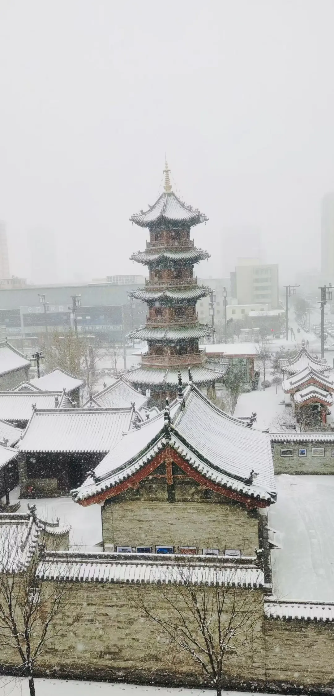 太原初雪❄️2025赏雪攻略请收好