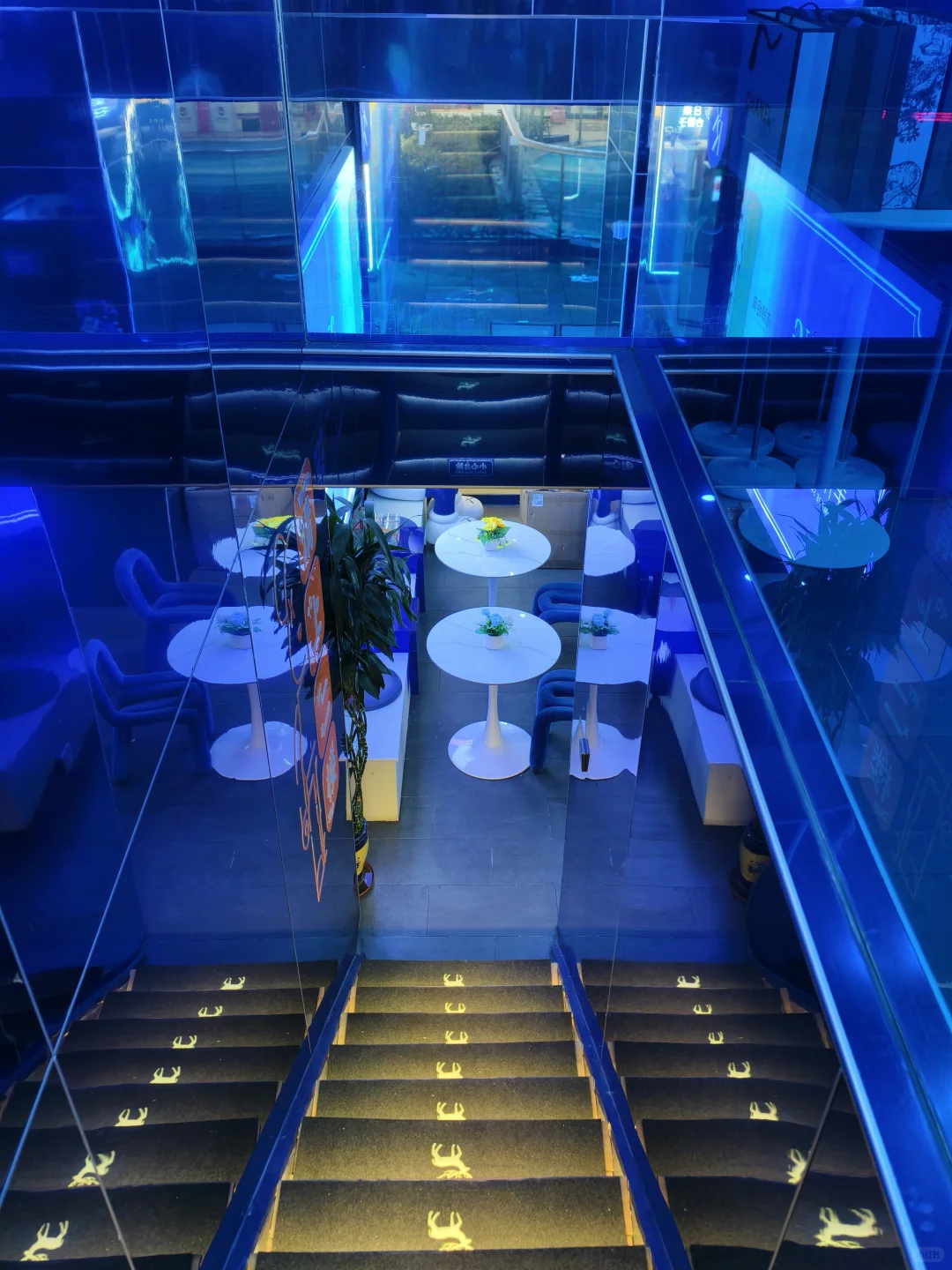 冬天一定要吃杨枝甘露瑞士卷！太原新品