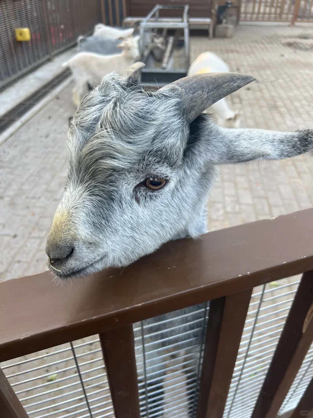 太原植物园也太大了！